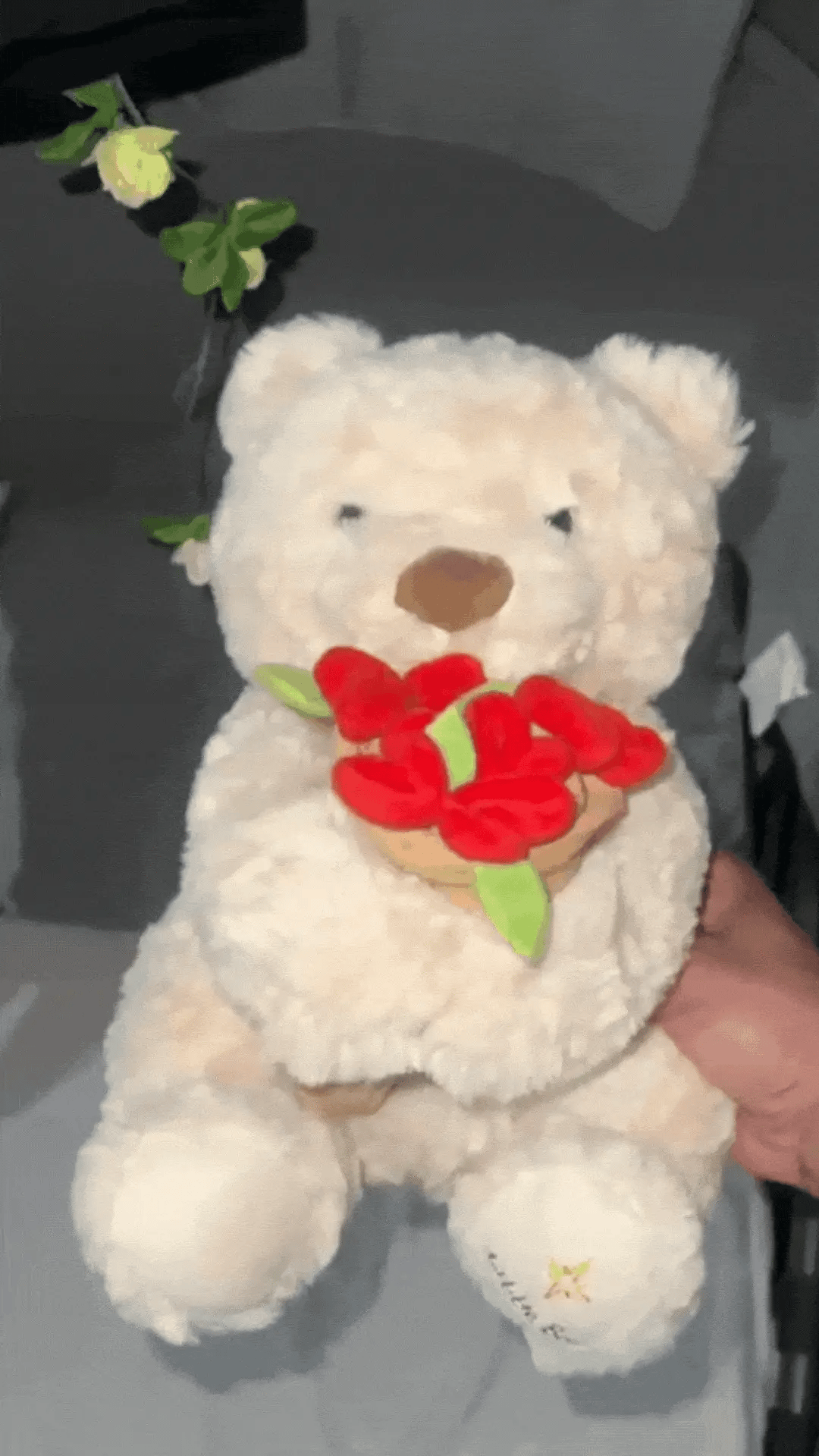 Kuschelbär in Bewegung